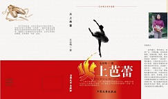 浙江火上芭蕾文学艺术传播有限公司商业计划书
