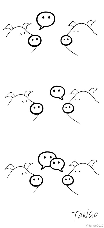 tango微信就是猪语。.jpg