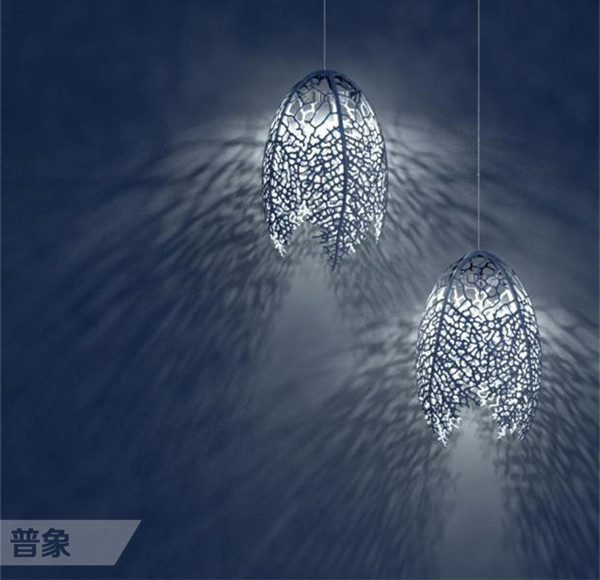丝瓜3.jpg