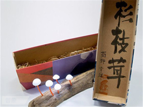 蘑菇灯.jpg