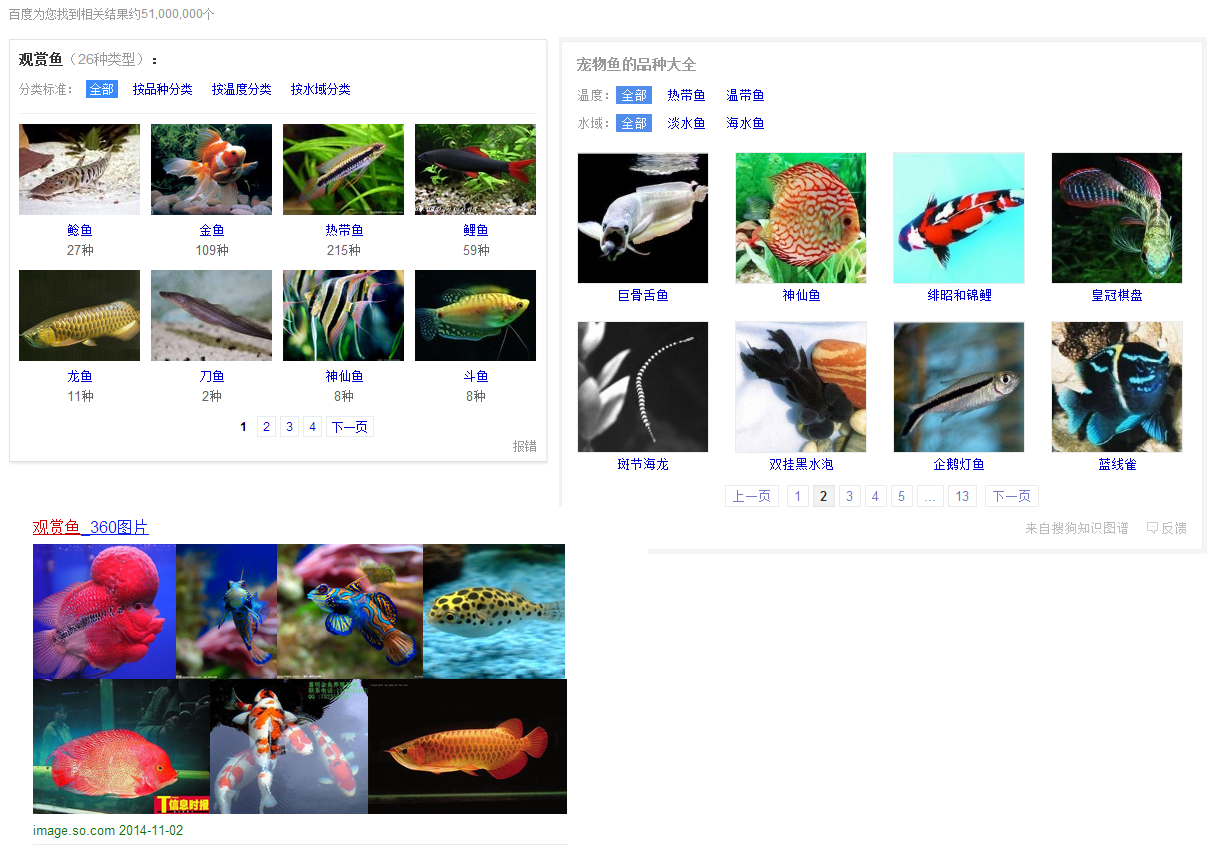 观赏鱼.png