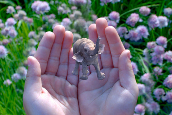 来认识下谷歌领投5.42亿美元的这家视觉技术初创公司——Magic Leap