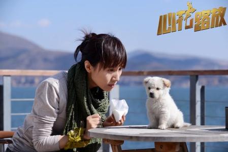 美团猫眼联合出品宁浩新片：票房才是电影产业的核心