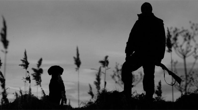 虎扯：强烈支持马云等有钱人狩猎野生动物