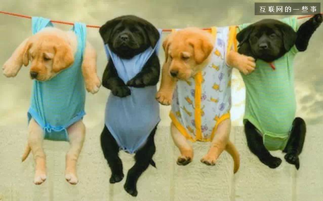 移动互联网时代的十大酷刑,互联网的一些事