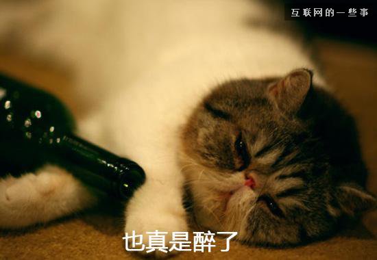 2014年度十大网络流行语是这些？,互联网的一些事