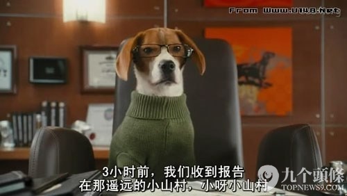 字幕组走了 留下一池奇葩翻译：“日子过得跟新闻联播一样”?,互联网的一些事