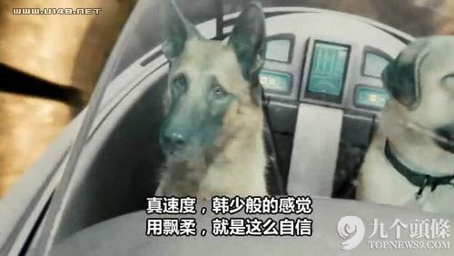 字幕组走了 留下一池奇葩翻译：“日子过得跟新闻联播一样”?,互联网的一些事