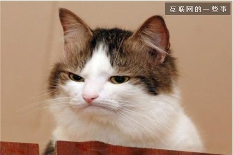 解读：为啥微信里的声音听起来不像你,互联网的一些事