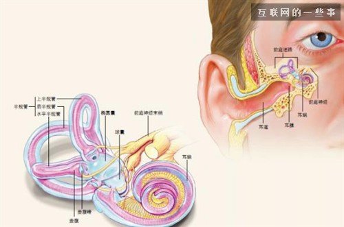 解读：为啥微信里的声音听起来不像你,互联网的一些事