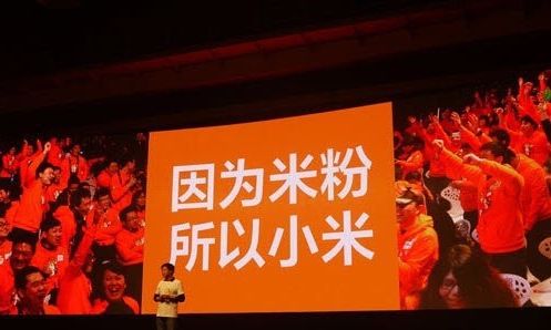 粉丝经济：小米的达摩克利斯之剑,互联网的一些事