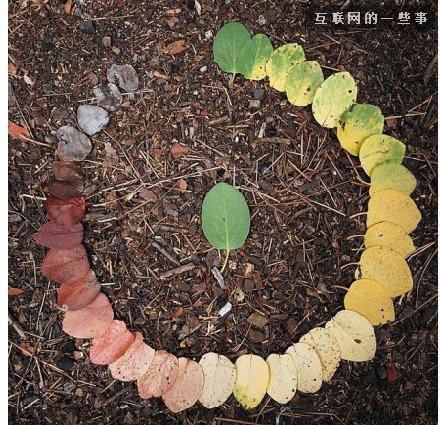 值得你我细细品味的9句话9张图,互联网的一些事