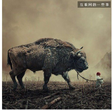 值得你我细细品味的9句话9张图,互联网的一些事