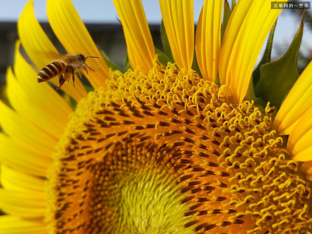 魅族 MX4 发布会：1799 元的复仇之战,互联网的一些事