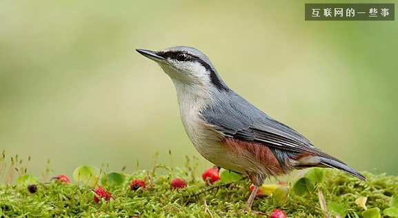 从微信头像看微信主人的性格，一看一个准！,互联网的一些事
