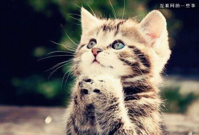 从微信头像看微信主人的性格，一看一个准！,互联网的一些事