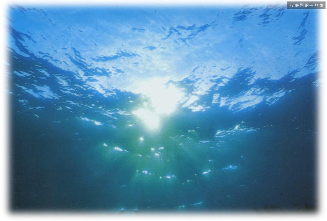 为什么很多网站流量很高，但并没做成大平台？,互联网的一些事