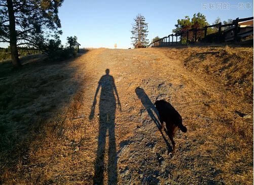 【组图】震惊了，这些照片竟然是谷歌眼镜拍下的！,互联网的一些事