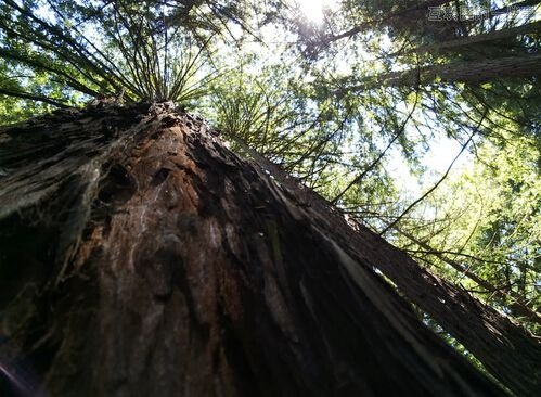 【组图】震惊了，这些照片竟然是谷歌眼镜拍下的！,互联网的一些事