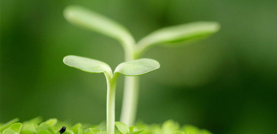 BAT投资战：百度缓 腾讯冷 阿里乱,互联网的一些事