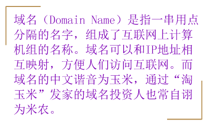 神秘的域名客：发家背后的故事,互联网的一些事