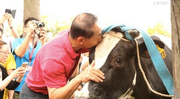 奶牛很忙：1号店的低俗营销为哪般?,互联网的一些事