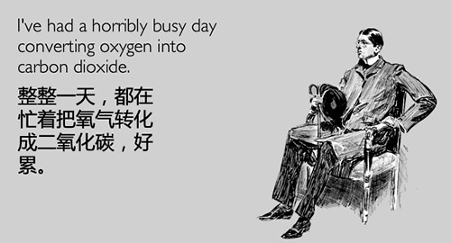 人生已经如此艰难，唯有逗比可将它拆穿,互联网的一些事