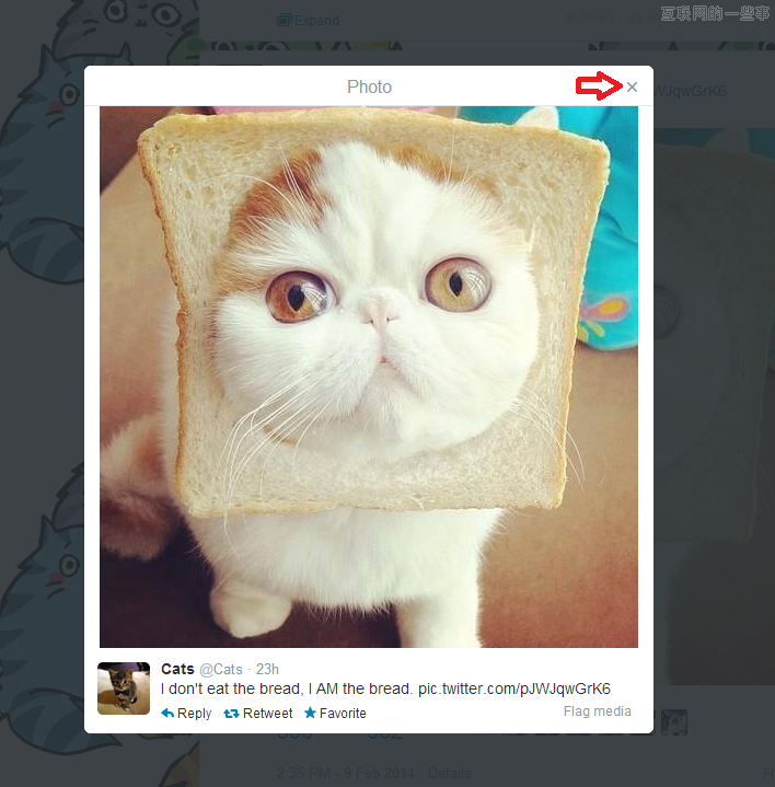 [X]的前世今生 为什么[X]代表关闭按钮？,互联网的一些事