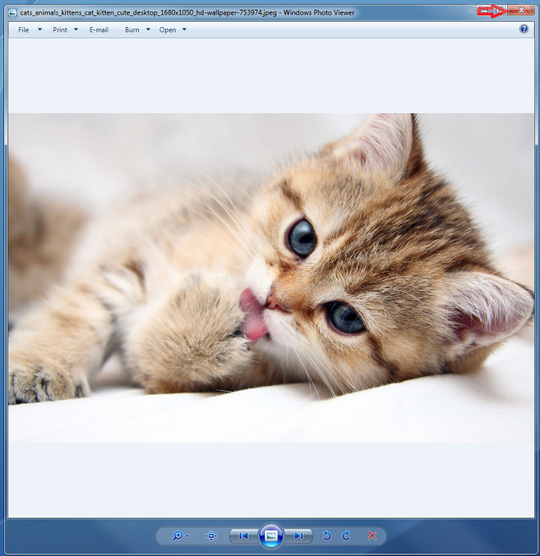 [X]的前世今生 为什么[X]代表关闭按钮？,互联网的一些事