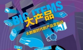 什么是“大产品”?,互联网的一些事