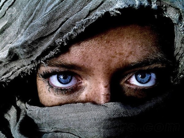 你相信这些照片都是用手机拍摄的吗？,互联网的一些事