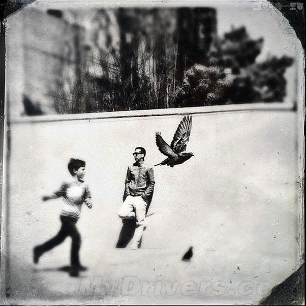 你相信这些照片都是用手机拍摄的吗？,互联网的一些事