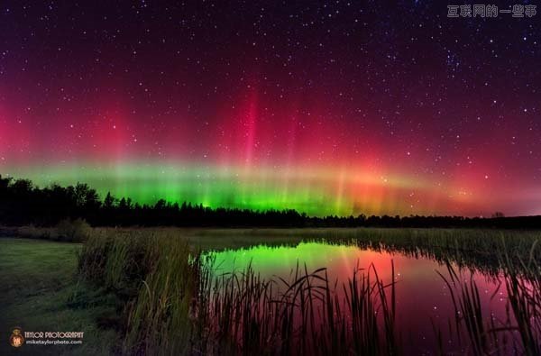 拍了这些神奇照片后他辞职了！,互联网的一些事