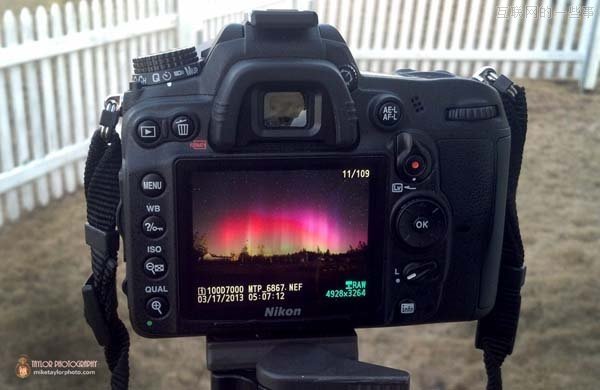 拍了这些神奇照片后他辞职了！,互联网的一些事