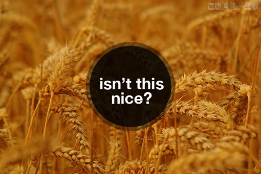 PPT设计宝典!十招教你做出拿得出手的PPT,互联网的一些事