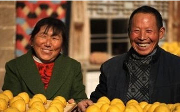 ＂舌尖经济＂下 食品电商该怎么搞定需求供应链？,互联网的一些事