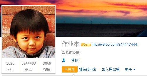 新浪微博上市就靠这10个大V？！,互联网的一些事