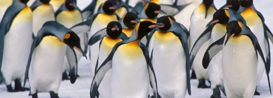 “大胃王”腾讯造版图，不可忽视的生态漏洞,互联网的一些事