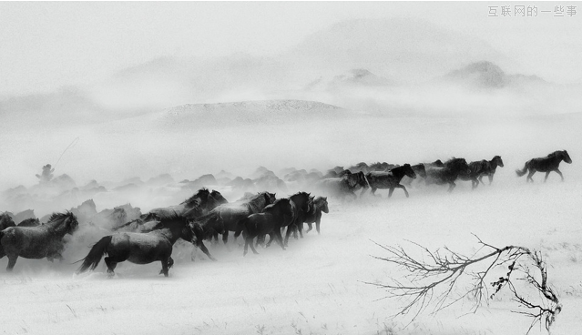 互联网万马齐喑，挺进移动支付,互联网的一些事