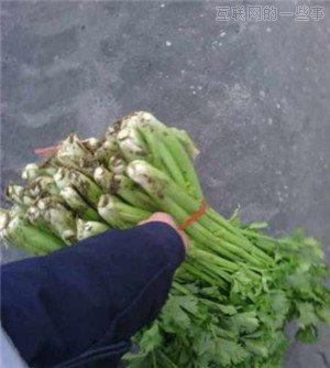 年终发奖是财大气粗，还是AV女优助阵？,互联网的一些事