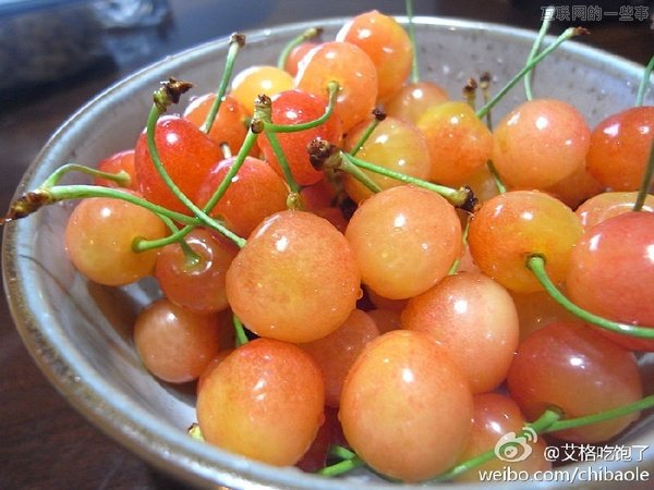 摄影技巧：如何给美食拍照？,互联网的一些事