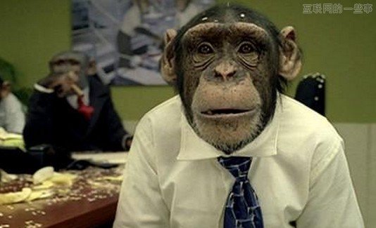 春节回家，如何成为亲戚眼中的牛逼创业者？！,互联网的一些事