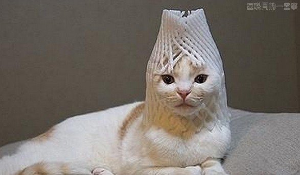 春节回家，如何成为亲戚眼中的牛逼创业者？！,互联网的一些事