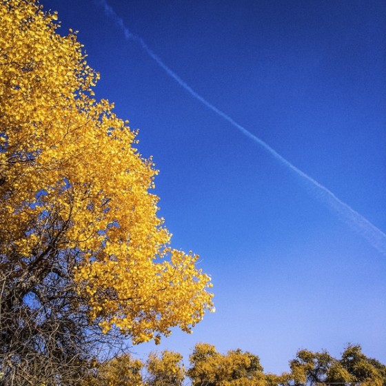 装逼必备：普通卡片相机玩出单反相机的感觉,互联网的一些事