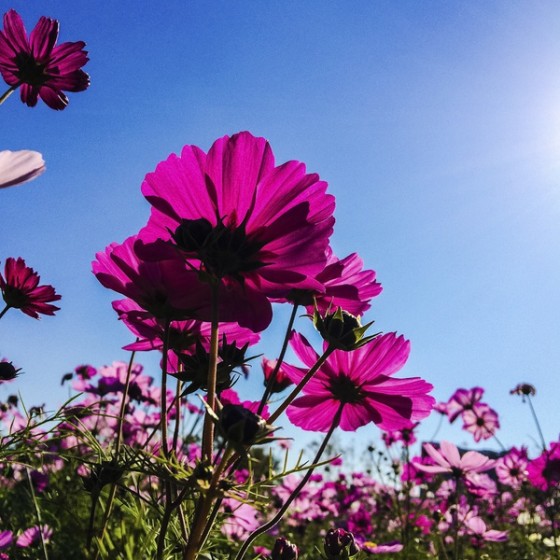 装逼必备：普通卡片相机玩出单反相机的感觉,互联网的一些事