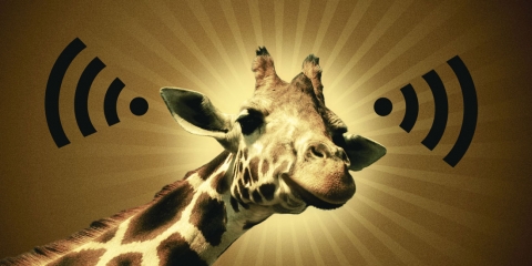 路由=入口？先手种下一道“生死符”,互联网的一些事