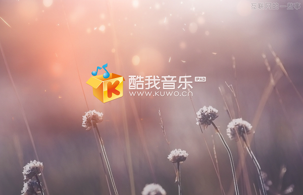 估值近亿美元，酷我音乐是否值这个价？,互联网的一些事