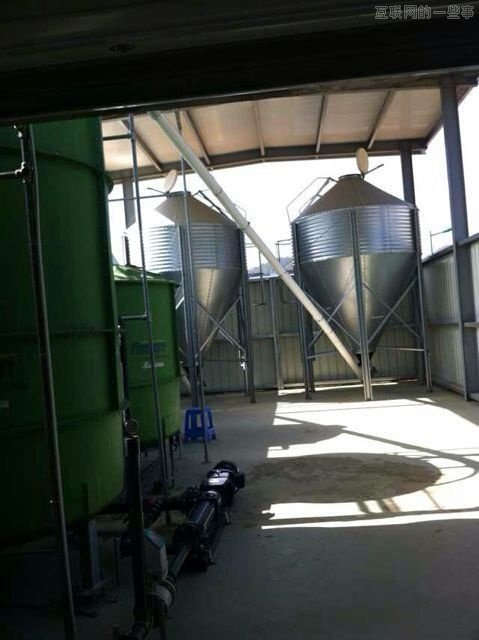 网易官方关于养猪项目的回应,互联网的一些事