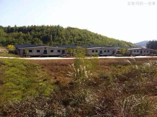 网易官方关于养猪项目的回应,互联网的一些事