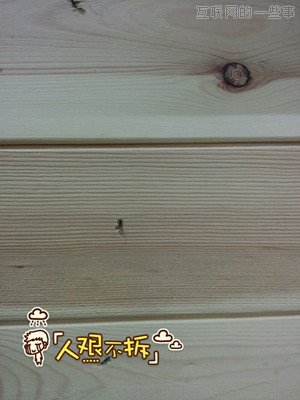 【怒赞】低调复兴！手机QQ半年用户飙升5000万：三大秘诀PK微信,互联网的一些事